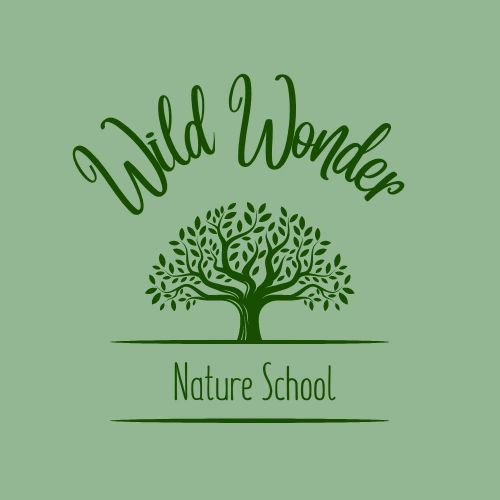 Program Wild Wonder program-wild-wonder